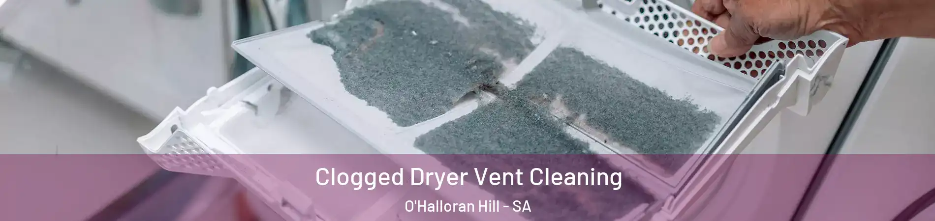  Clogged Dryer Vent Cleaning O'Halloran Hill - SA
