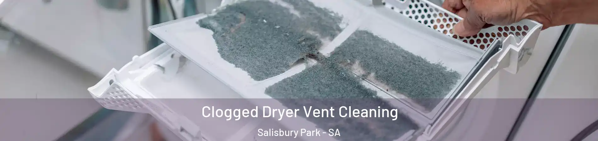  Clogged Dryer Vent Cleaning Salisbury Park - SA