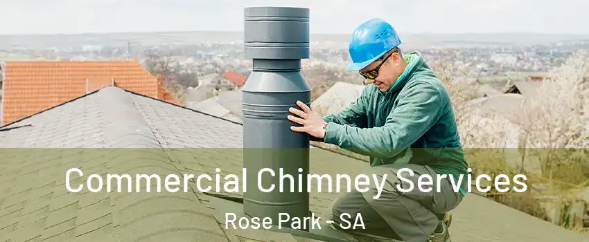  Commercial Chimney Services Rose Park - SA