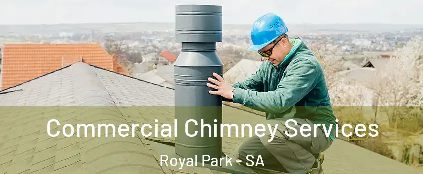  Commercial Chimney Services Royal Park - SA