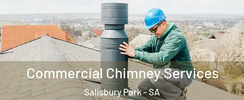  Commercial Chimney Services Salisbury Park - SA