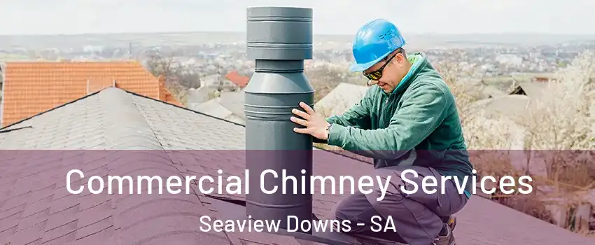  Commercial Chimney Services Seaview Downs - SA