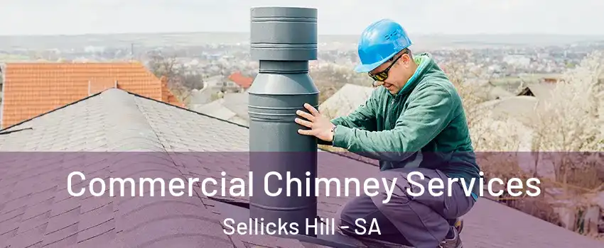  Commercial Chimney Services Sellicks Hill - SA