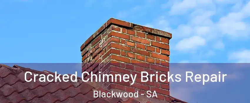 Cracked Chimney Bricks Repair Blackwood - SA