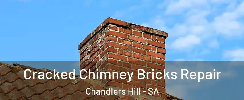 Cracked Chimney Bricks Repair Chandlers Hill - SA