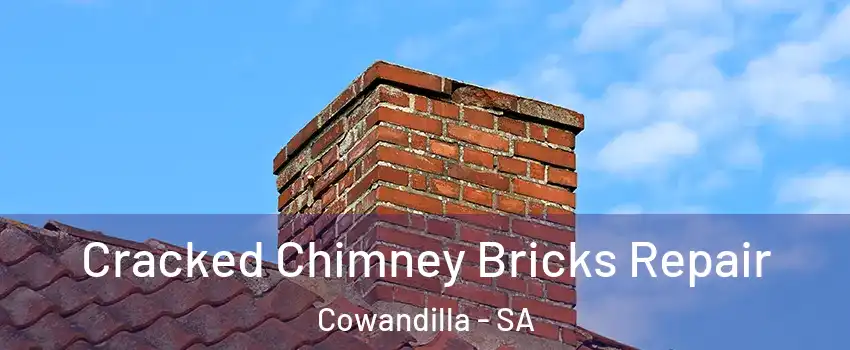 Cracked Chimney Bricks Repair Cowandilla - SA