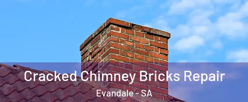 Cracked Chimney Bricks Repair Evandale - SA