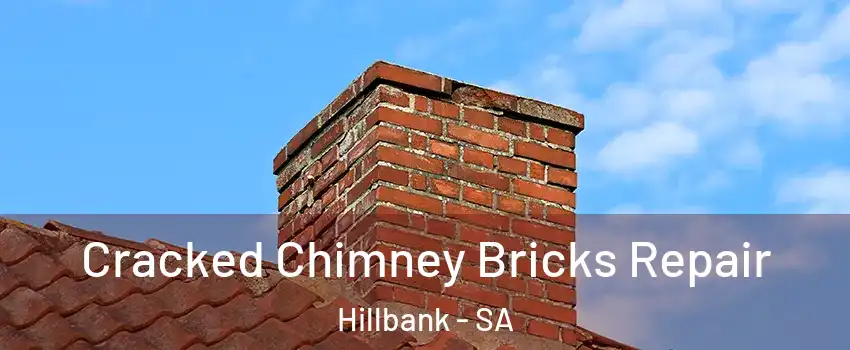 Cracked Chimney Bricks Repair Hillbank - SA