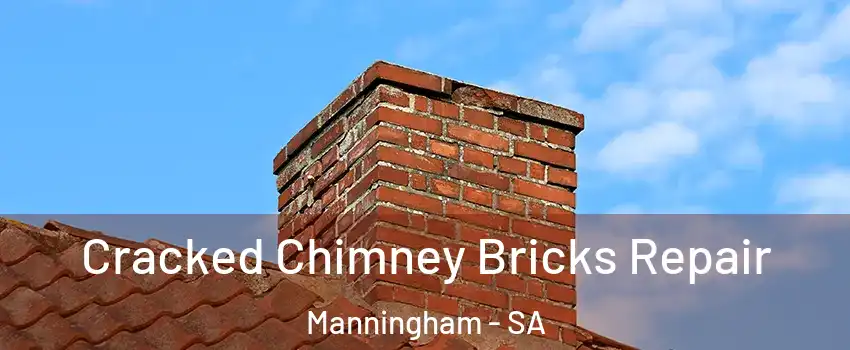  Cracked Chimney Bricks Repair Manningham - SA