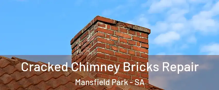  Cracked Chimney Bricks Repair Mansfield Park - SA