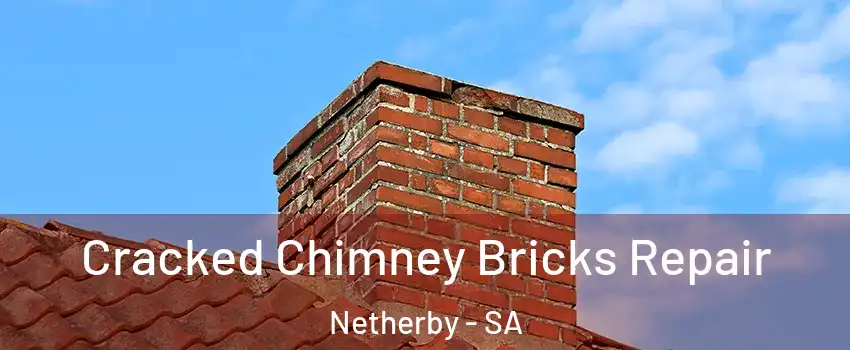  Cracked Chimney Bricks Repair Netherby - SA