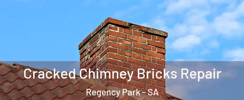  Cracked Chimney Bricks Repair Regency Park - SA