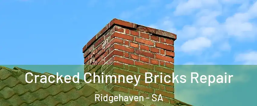  Cracked Chimney Bricks Repair Ridgehaven - SA