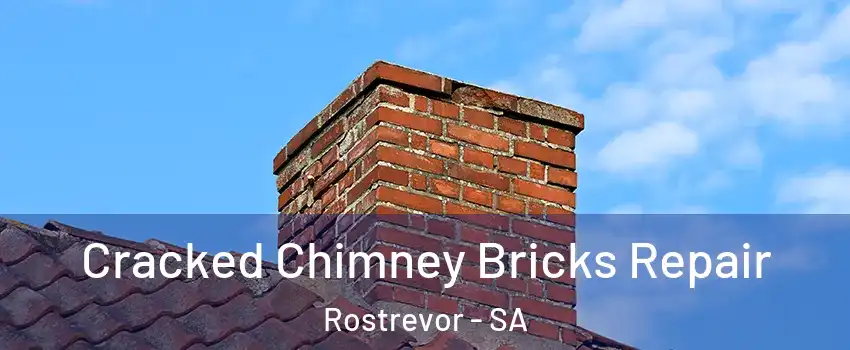  Cracked Chimney Bricks Repair Rostrevor - SA