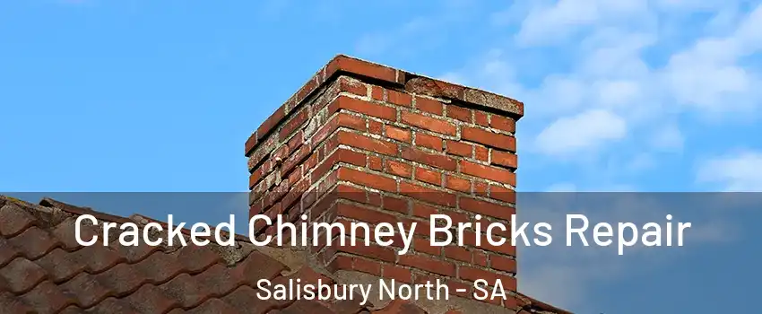  Cracked Chimney Bricks Repair Salisbury North - SA