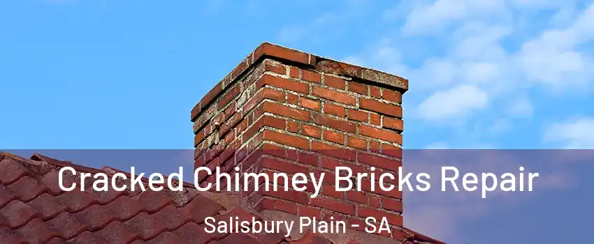  Cracked Chimney Bricks Repair Salisbury Plain - SA