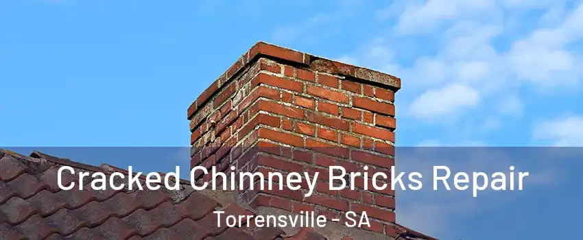  Cracked Chimney Bricks Repair Torrensville - SA