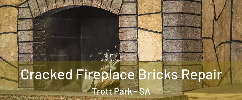  Cracked Fireplace Bricks Repair Trott Park - SA