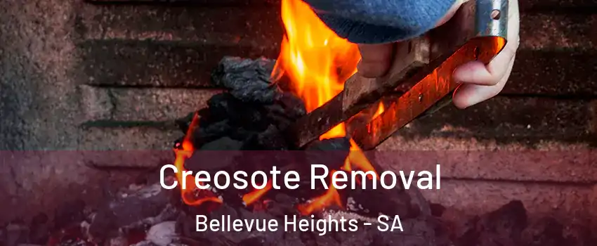 Creosote Removal Bellevue Heights - SA