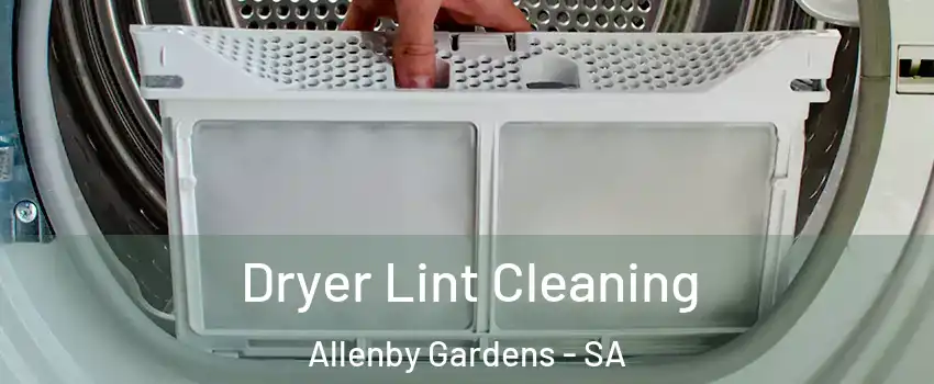 Dryer Lint Cleaning Allenby Gardens - SA