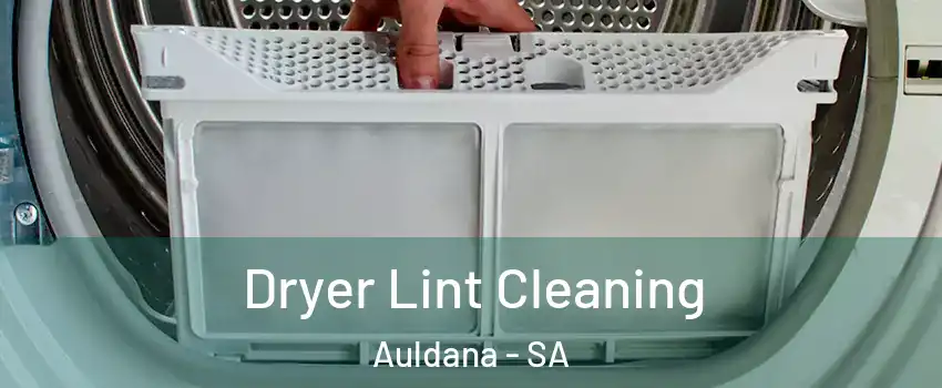 Dryer Lint Cleaning Auldana - SA