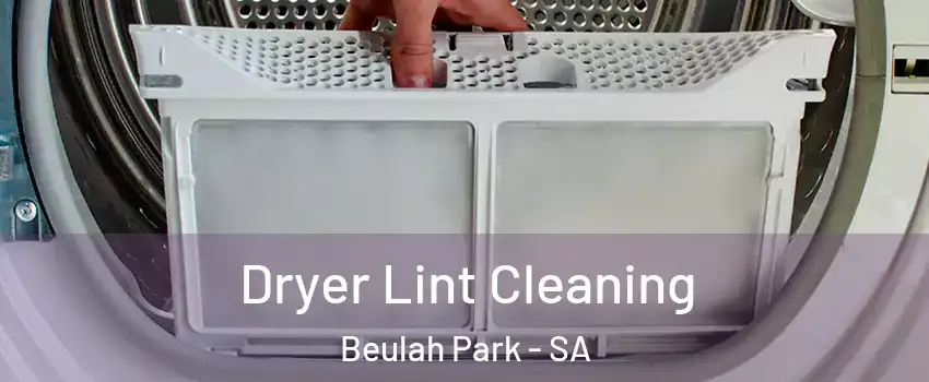 Dryer Lint Cleaning Beulah Park - SA