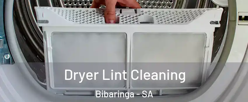 Dryer Lint Cleaning Bibaringa - SA