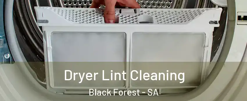 Dryer Lint Cleaning Black Forest - SA