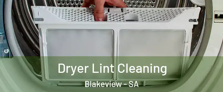 Dryer Lint Cleaning Blakeview - SA