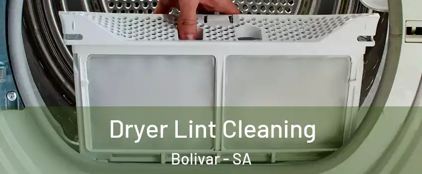 Dryer Lint Cleaning Bolivar - SA