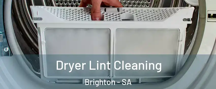 Dryer Lint Cleaning Brighton - SA