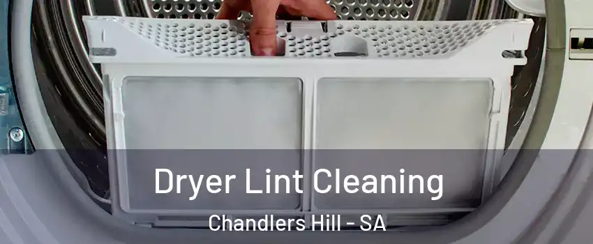 Dryer Lint Cleaning Chandlers Hill - SA