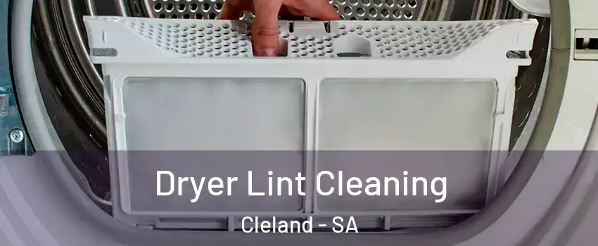Dryer Lint Cleaning Cleland - SA