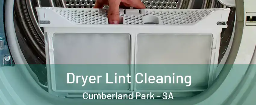 Dryer Lint Cleaning Cumberland Park - SA