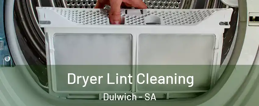 Dryer Lint Cleaning Dulwich - SA