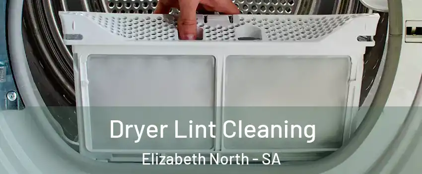 Dryer Lint Cleaning Elizabeth North - SA