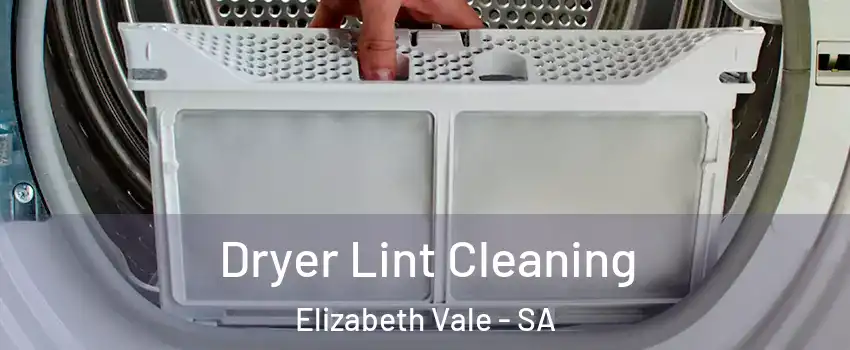 Dryer Lint Cleaning Elizabeth Vale - SA