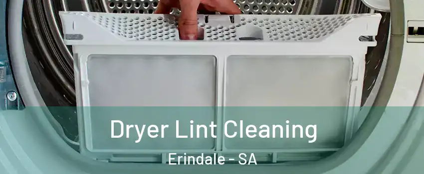  Dryer Lint Cleaning Erindale - SA