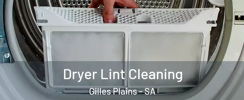 Dryer Lint Cleaning Gilles Plains - SA
