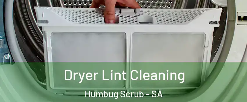  Dryer Lint Cleaning Humbug Scrub - SA