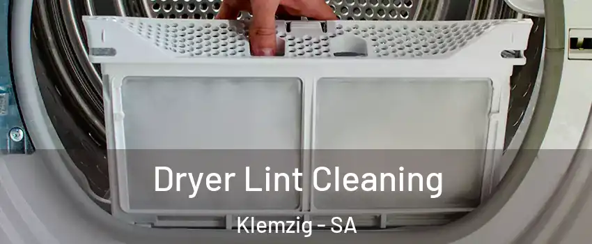  Dryer Lint Cleaning Klemzig - SA