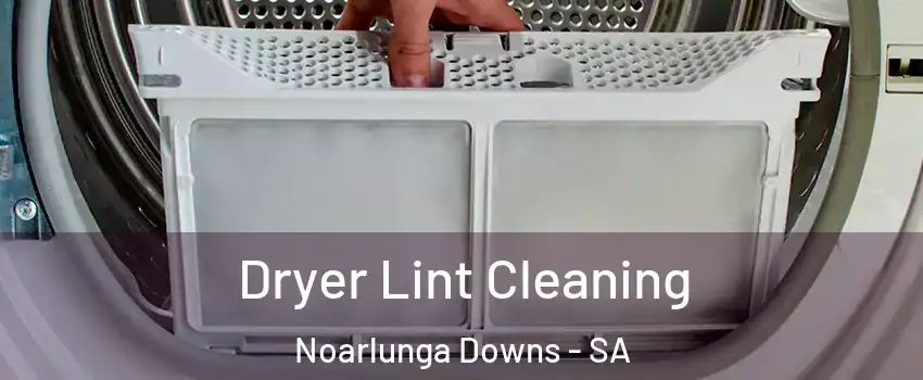  Dryer Lint Cleaning Noarlunga Downs - SA