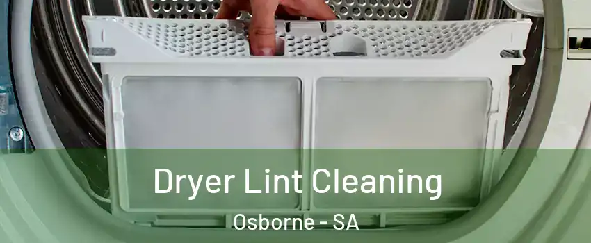  Dryer Lint Cleaning Osborne - SA