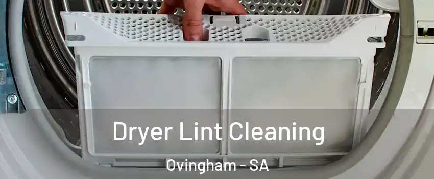  Dryer Lint Cleaning Ovingham - SA