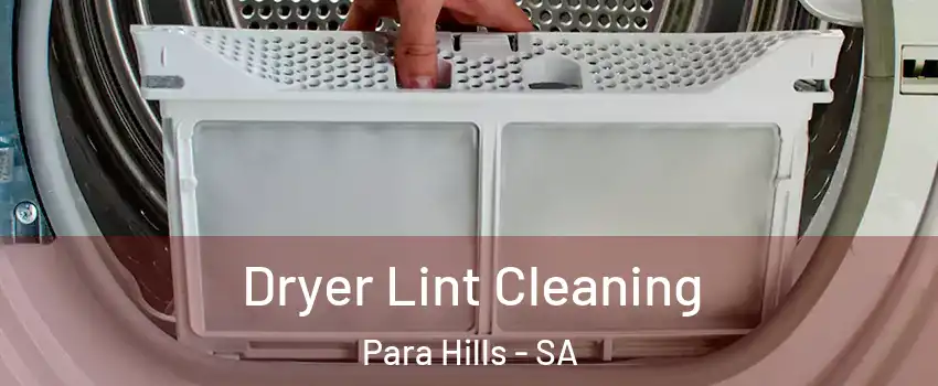 Dryer Lint Cleaning Para Hills - SA