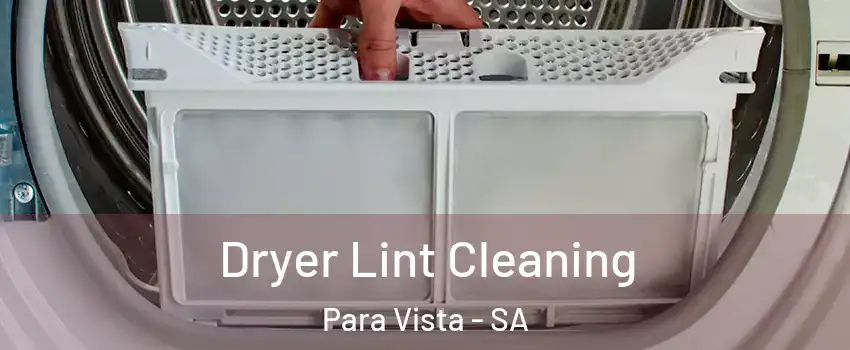  Dryer Lint Cleaning Para Vista - SA