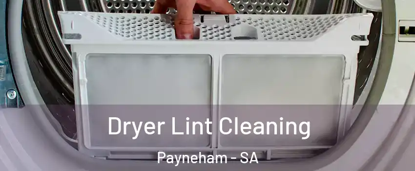  Dryer Lint Cleaning Payneham - SA
