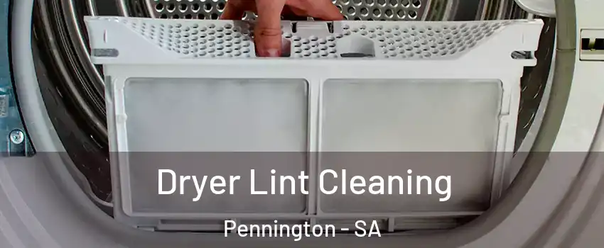  Dryer Lint Cleaning Pennington - SA