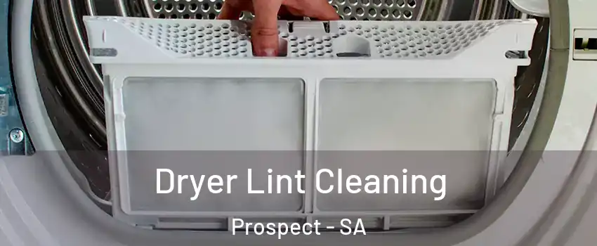  Dryer Lint Cleaning Prospect - SA