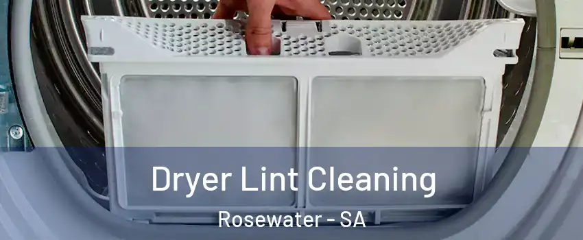  Dryer Lint Cleaning Rosewater - SA